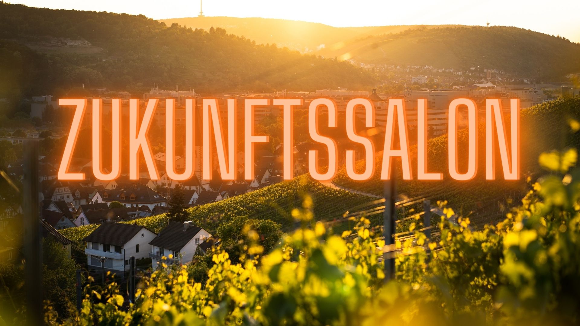 Weinberge mit Banner "Zukunftssalon"