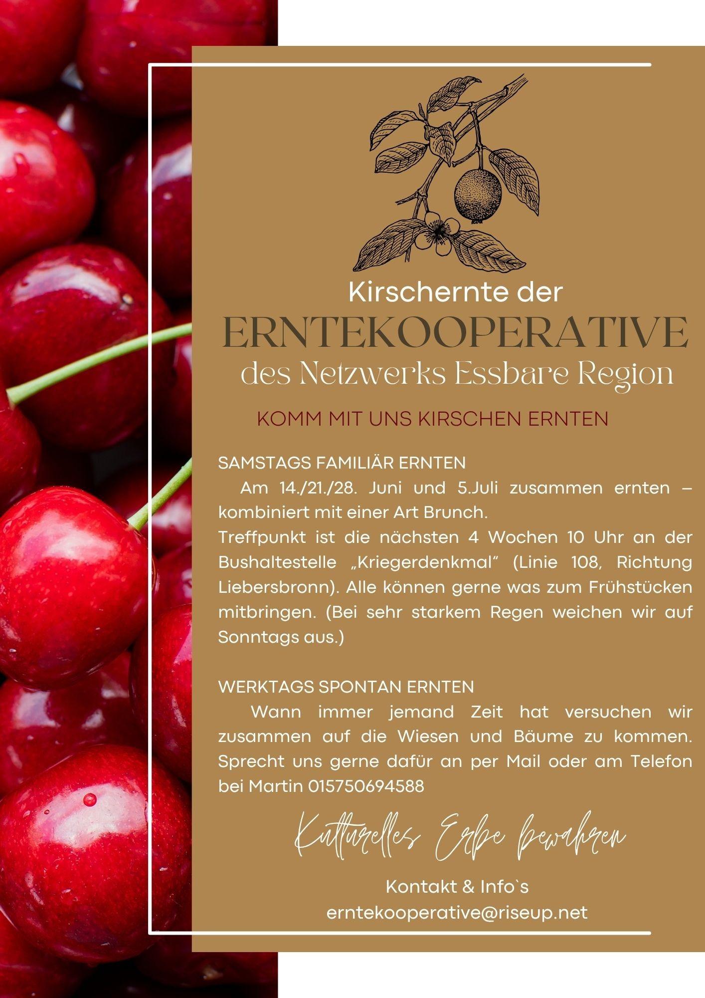 Erntekooperative - Kirschernte